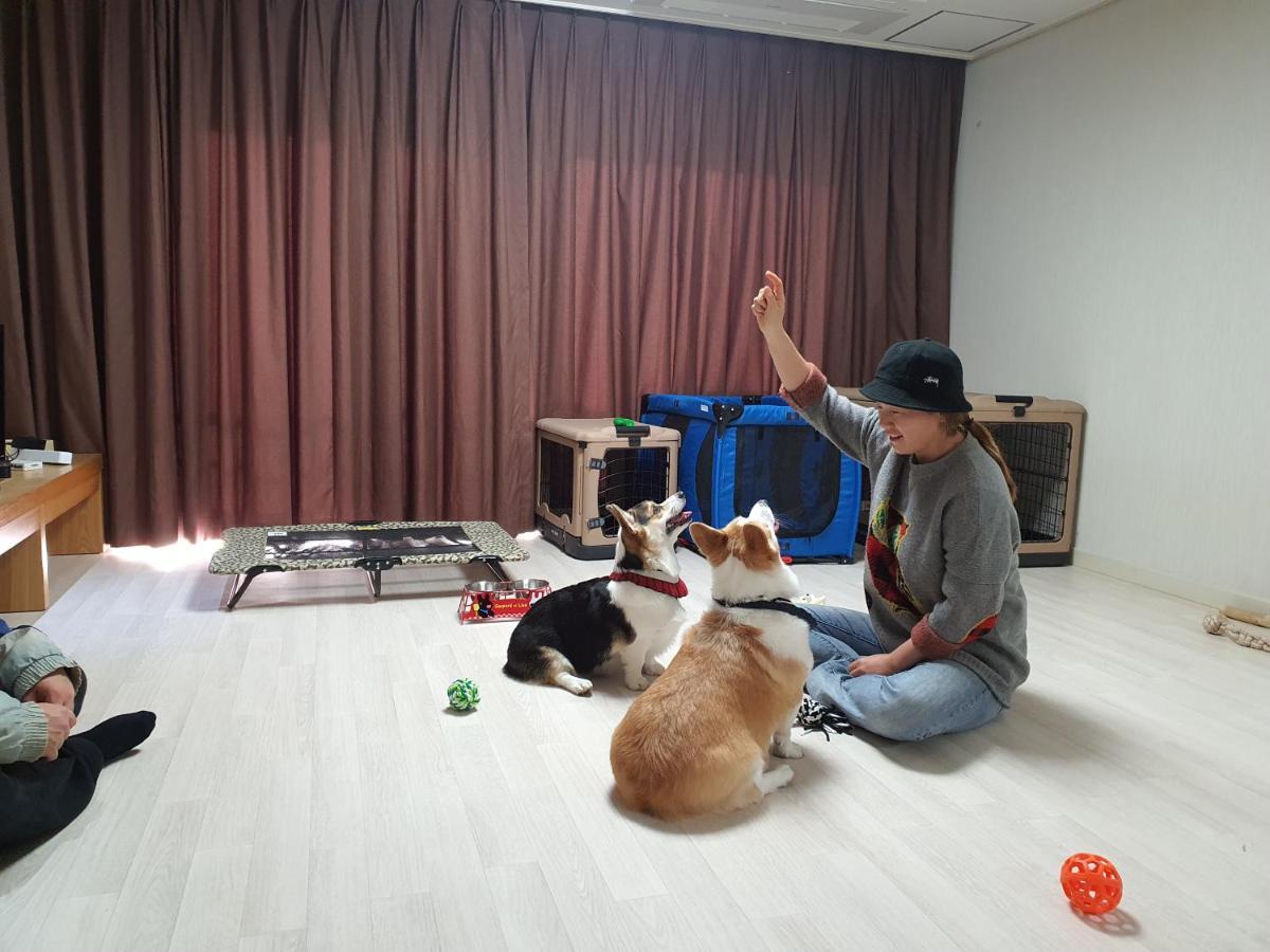 Hi Jeju Hotel Ngoại thất bức ảnh